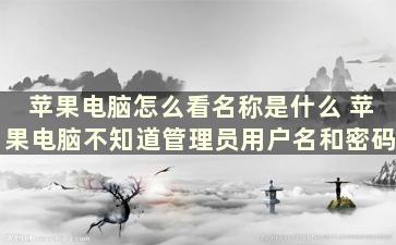 苹果电脑怎么看名称是什么 苹果电脑不知道管理员用户名和密码